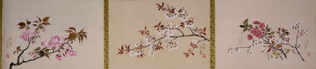 batch Atomi Gyokushi Scroll of Cherry Blossoms