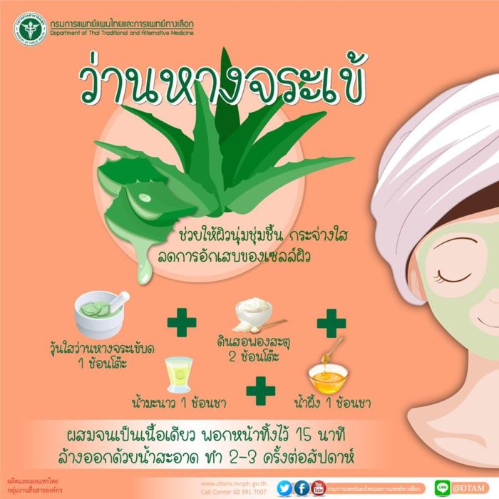 5 วิธีฟื้นฟูผิวจากแดดจ้า ด้วยสมุนไพรไทยๆ - The Bangkok Insight