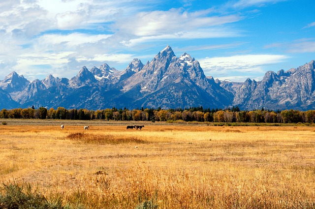 grand tetons in the fall 3857341 640