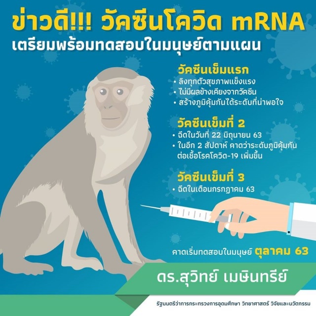 วัคซีนในลิง