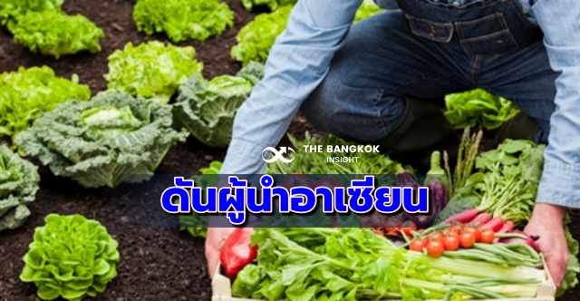 เกษตรอินทรีย์มาแรง จัดงบ 1,900 ล้าน ผุด 209 โครงการ ดันไทยผู้นำอาเซียน
