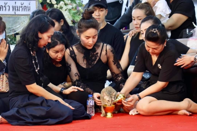 โซเชียลแห่แชร์ภาพ 'แขกพิเศษ' ในงานศพ 'โรเบิร์ต สายควัน' เรียกรอยยิ้มยามเศร้า - The Bangkok Insight