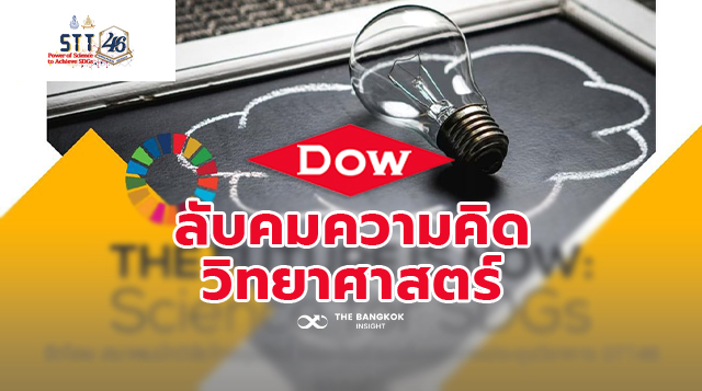 cover DOW ดาว