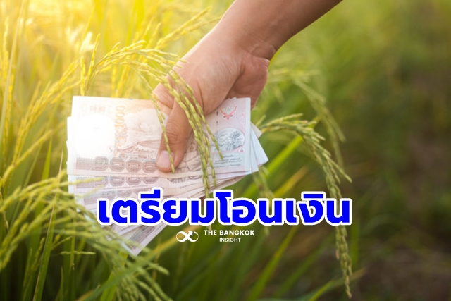 Rice price insurance
