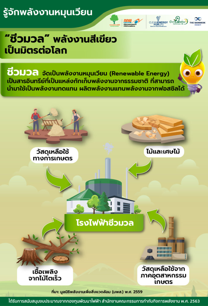ชีวมวล Biomass พลังงานสีเขียวเป็นมิตรต่อโลก