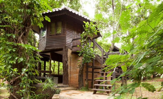 Tree House Surrounded by Nature Chiang Mai