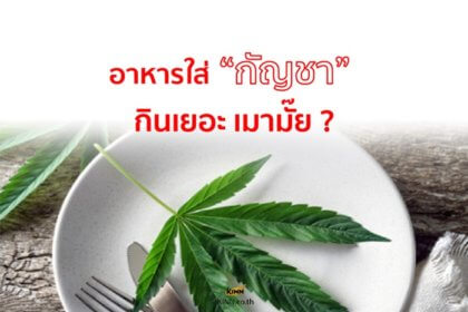 รูปข่าว ‘อาหาร’ ใส่ ‘กัญชา’ กินเยอะจะเมามั๊ย?