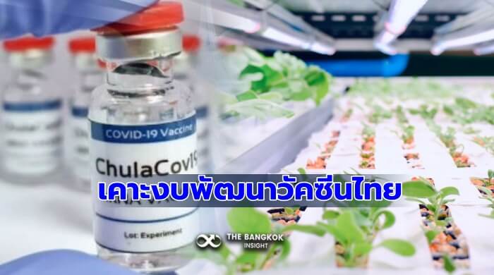 วัคซีนฝีมือคนไทย