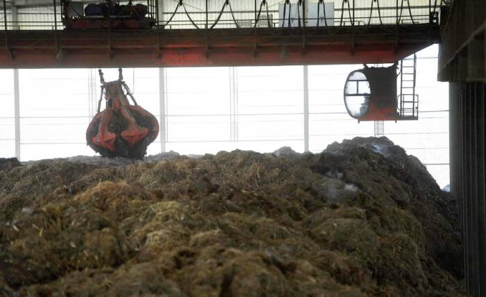 GLOBALink Biomass power plant converts straw into energy in E China 2
