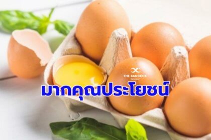 รูปข่าว นักวิชาการชี้ ‘เนื้อไก่-ไข่ไก่’ สุดยอดโปรตีนคุณภาพ – เลือกซื้ออย่างไรให้ปลอดเชื้อฯ