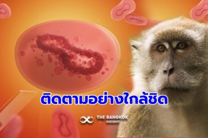 รูปข่าว สกัด ‘ฝีดาษลิง’ กรมควบคุมโรค คุมเข้ม นักท่องเที่ยวเข้าไทย