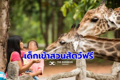 รูปข่าว วันหยุด 28 ก.ค. สวนสัตว์ 7 แห่งทั่วไทย เด็กเข้าชมฟรี เช็คไฮไลต์ สถานที่ก่อนไป