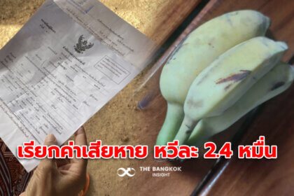 รูปข่าว เด็กประถมแอบกิน ‘กล้วย’ ในห้องครัว เจ้าของบ้านเรียกค่าเสียหาย หวีละ 2.4 หมื่น