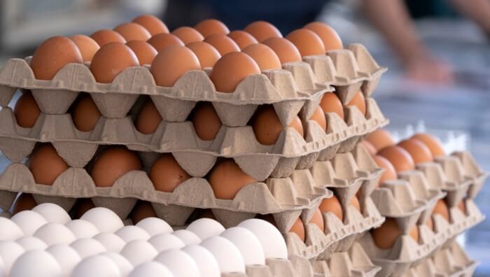ราคาไข่ไก่