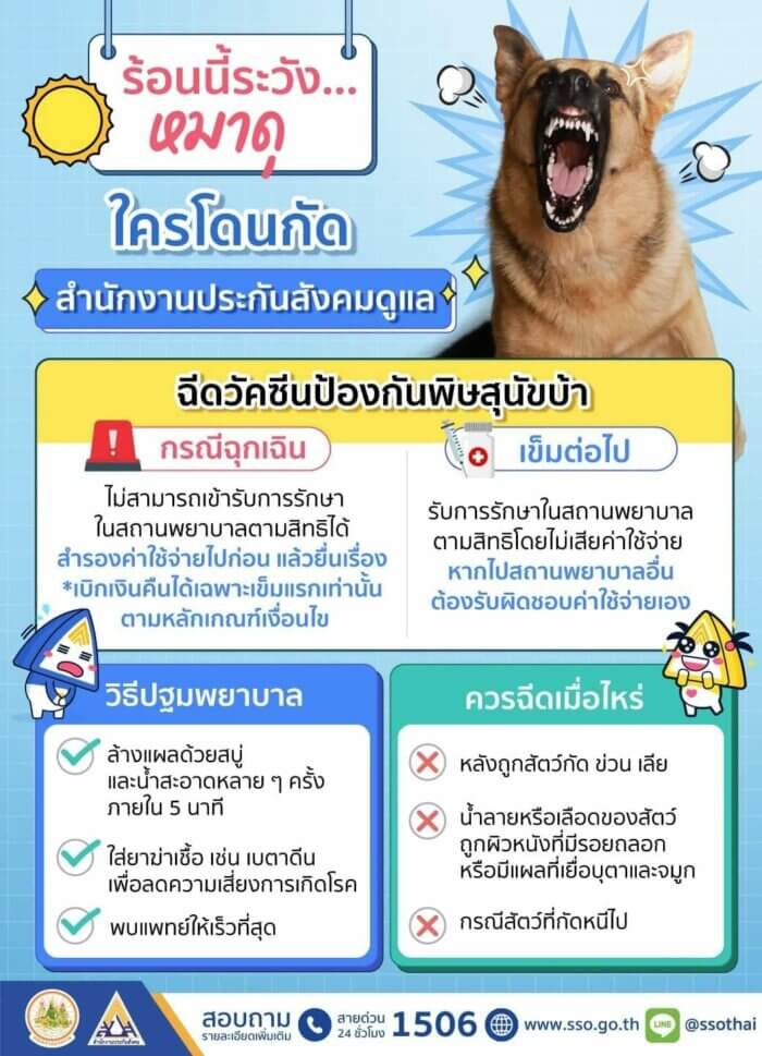 ถูกสุนัขกัด! ใช้สิทธิประกันสังคม ฉีดวัคซีนป้องกันโรคพิษสุนัขบ้าได้ฟรี