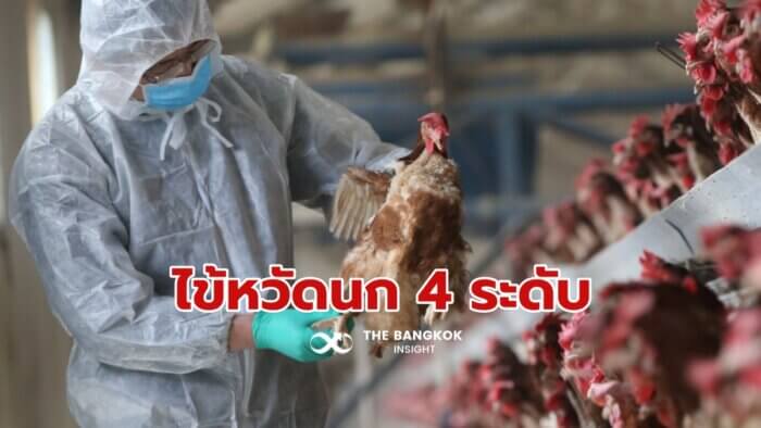 ไข้หวัดนก H5N1