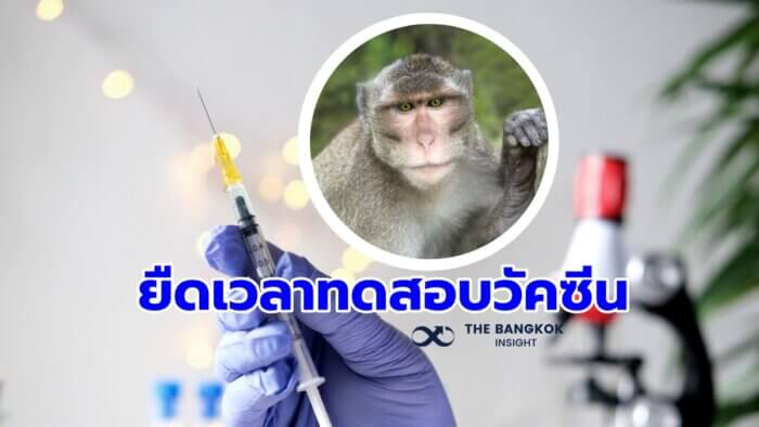 ทดสอบวัคซีนในลิง
