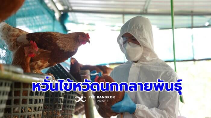 ไวรัสไข้หวัดนก H5N1