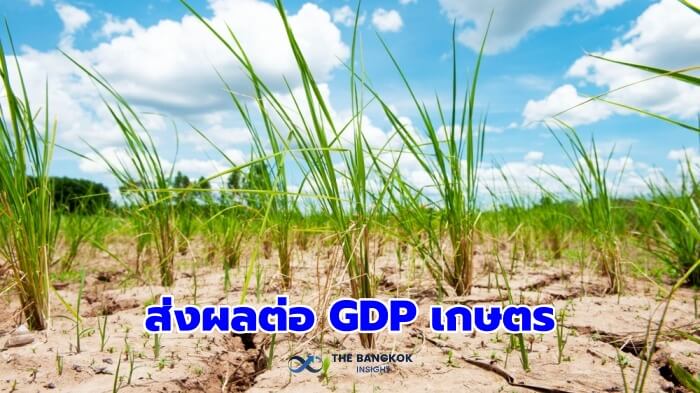 GDP เกษตร