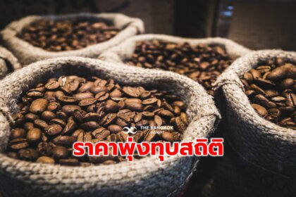 รูปข่าว ‘กาแฟเวียดนาม’ ราคาพุ่งเป็นประวัติการณ์