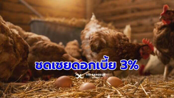 ผู้เลี้ยงไก่ไข่-หมู