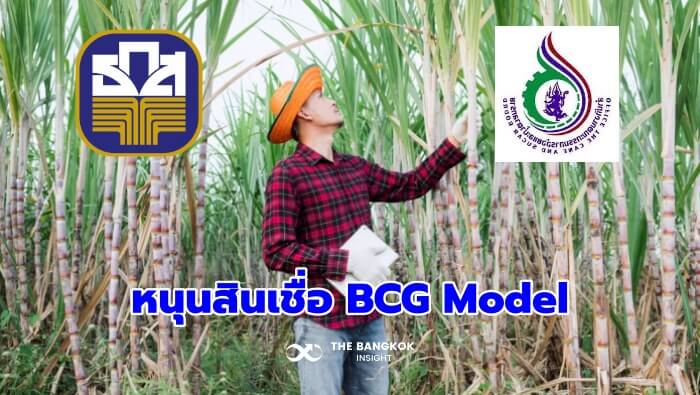 สินเชื่อ BCG Model