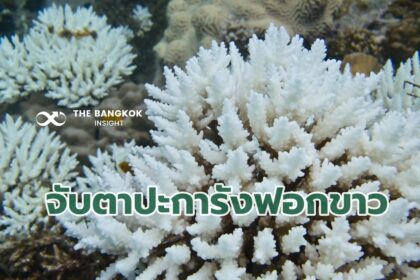 รูปข่าว ‘ดร.ธรณ์’ เตือน!! อุณหภูมิน้ำทะเลกำลังร้อนขึ้น ปะการังฟอกขาวรุนแรงครั้งใหญ่