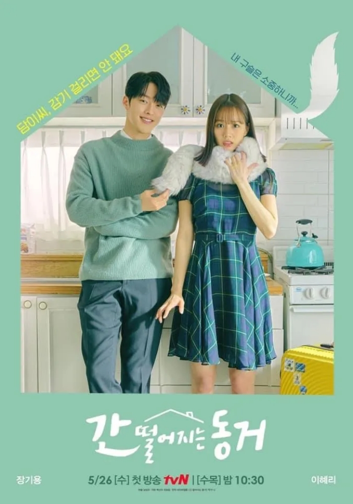 ฮเยริMy Roommate Is Gumiho tvN Main Poster 23042021