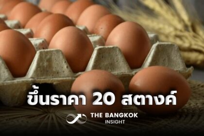 รูปข่าว ผู้บริโภคกระอัก! ประกาศขึ้นราคาไข่ไก่ ฟองละ 20 สตางค์ มีผล 29 พ.ค.