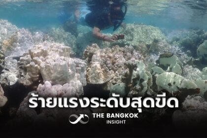 รูปข่าว ร้าวรานใจ!! ปะการังฟอกขาวทะเลไทย ร้ายแรงที่สุดตั้งแต่มีบันทึกมา