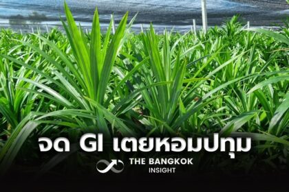 รูปข่าว ‘พาณิชย์’ ขึ้นทะเบียน ‘เตยหอมปทุม’ สินค้า GI ลำดับที่ 3 ของจังหวัดปทุมธานี